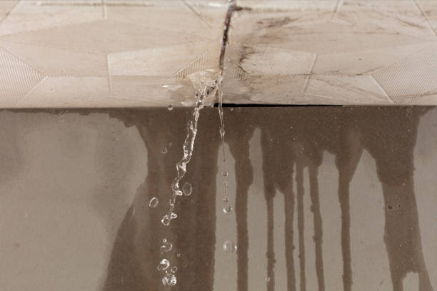Professional Flood Damage Cleanup technician working in Stewart, MN
